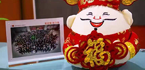 福祿壽喜報道，拓樸設(shè)計給您拜年啦！